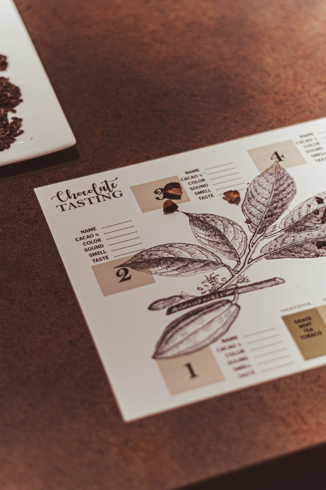 Chocolate Making & Tasting