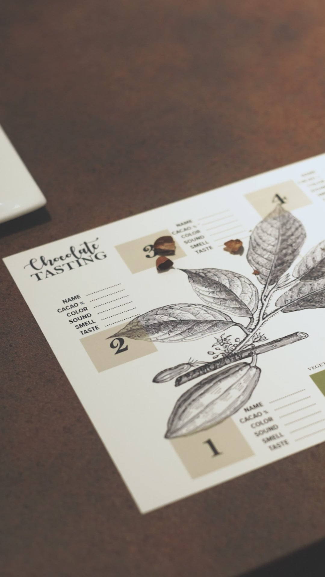 Chocolate Making & Tasting