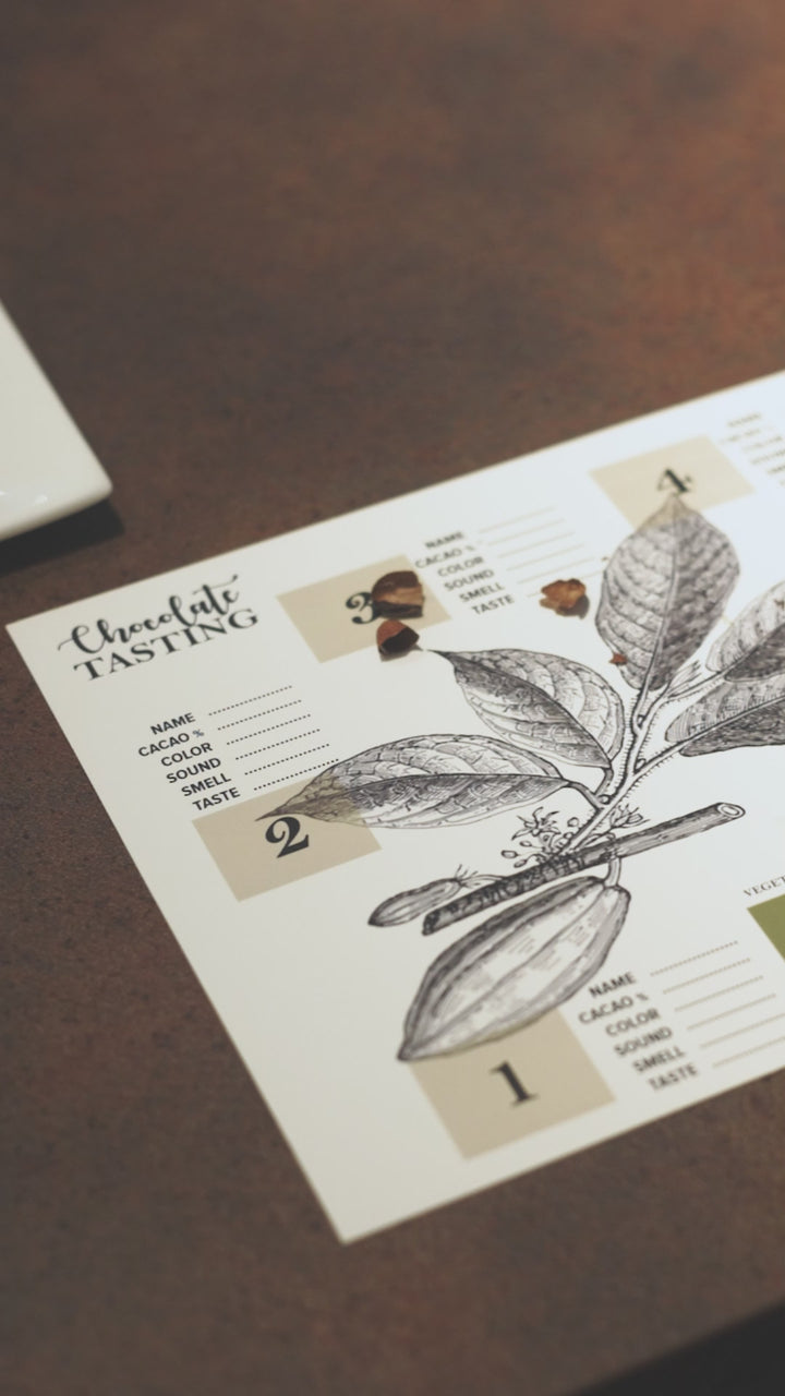 Chocolate Making & Tasting