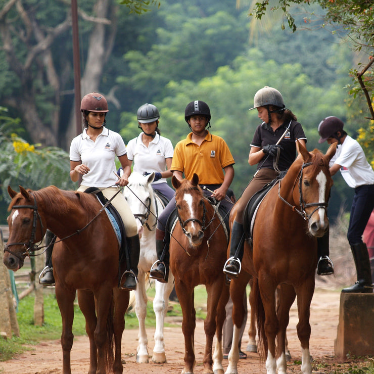 Horse Colors Horse Riding school near Bangalore